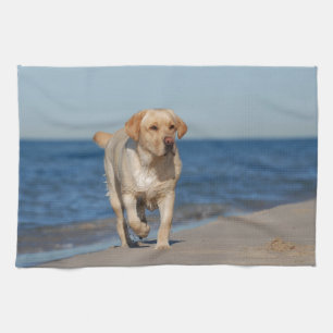 Linge De Cuisine Labrador retriever jaune sur la plage