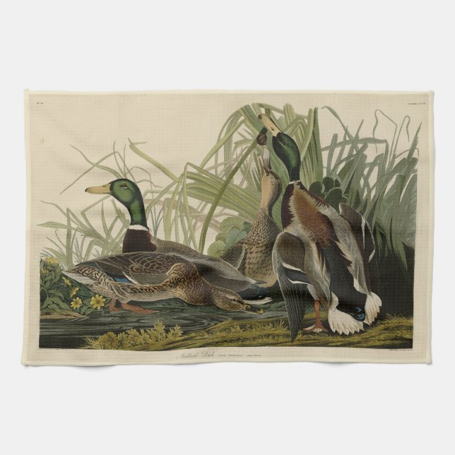 Linge De Cuisine Le canard colvert des oiseaux d'Amérique d'Audubon (Horizontal)
