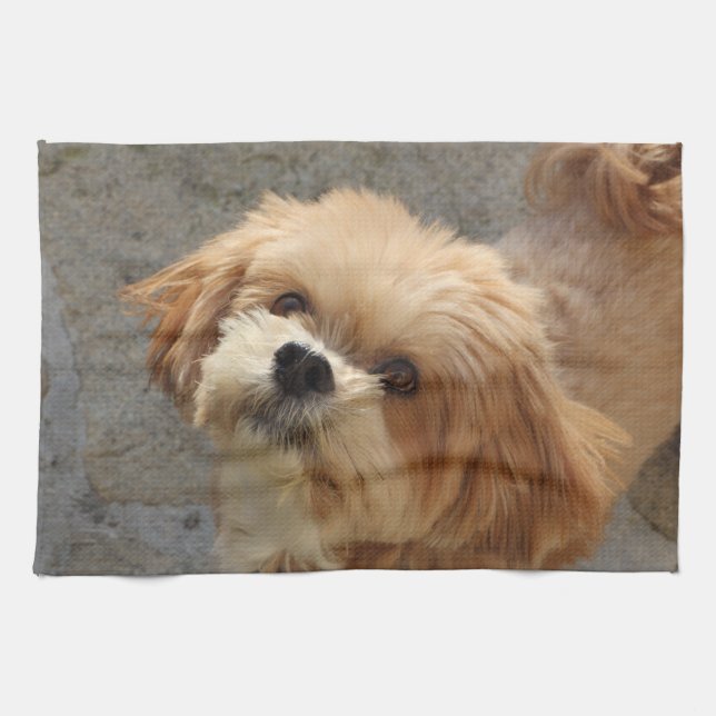 Linge De Cuisine Le chien de Lhassa Apso dans le jardin (Horizontal)