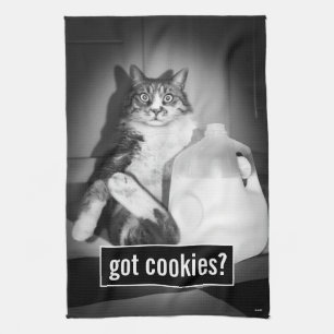 Linge De Cuisine Le Lait De Chat De Juge