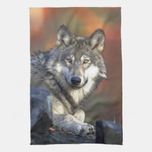 Linge De Cuisine Le loup
