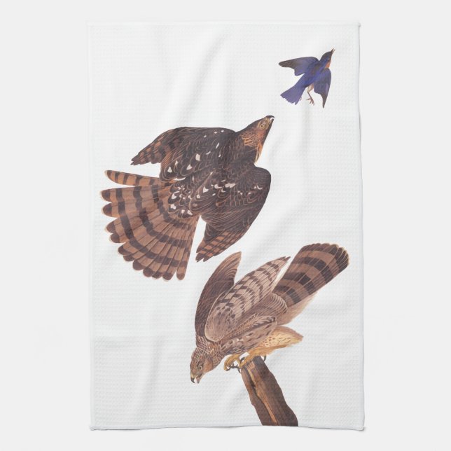 Linge De Cuisine Les Hawks de Stanley d'Audubon chassent un oiseau  (Vertical)