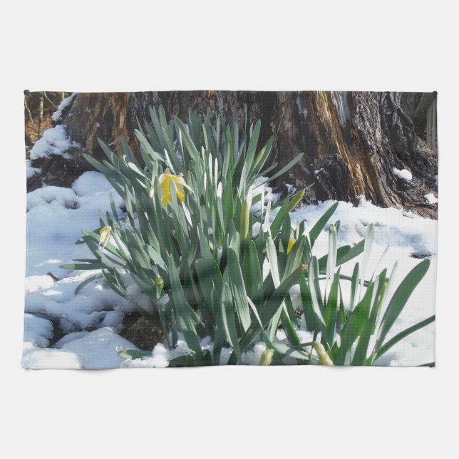 Linge De Cuisine Les jonquilles jaunes dans la neige (Horizontal)