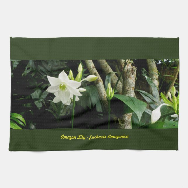 Linge De Cuisine Lis d'Amazone de jungle - Eucharis Amazonica (Horizontal)