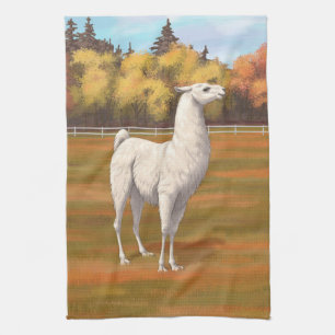 Linge De Cuisine Llama blanche dans les pâturages agricoles d'autom
