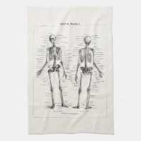 L'os humain squelettique vintage d'anatomie