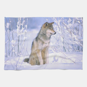 Linge De Cuisine Loup gris assis dans la neige, Canis lupus,