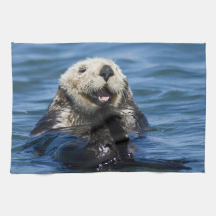 Linge De Cuisine Loutre de mer de Californie Enhydra lutris) se toi