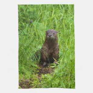 Linge De Cuisine Loutre de rivière intelligente