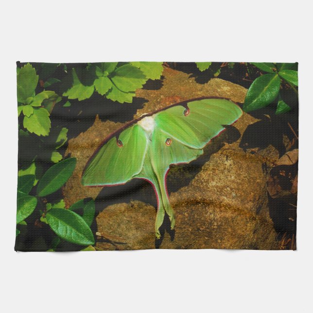 Linge De Cuisine Luna verte géante (Horizontal)