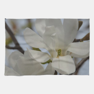 Linge De Cuisine Magnolia blanc en fleurs au printemps