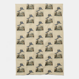Linge De Cuisine Martin-pêcheur à la ceinture des oiseaux d'Amériqu