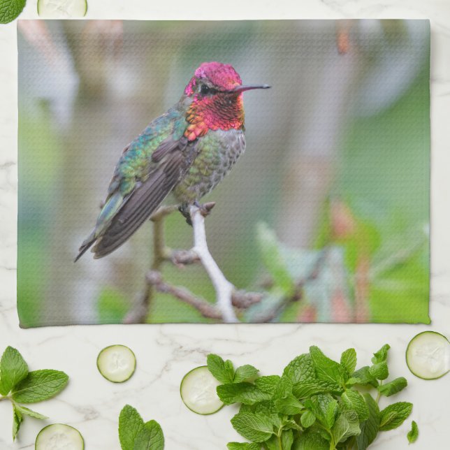 Linge De Cuisine Merveilleux colibri d'Anna masculine dans un palmi (Plié)