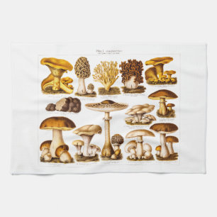 Linge De Cuisine Modèle vintage de champignons de variété de