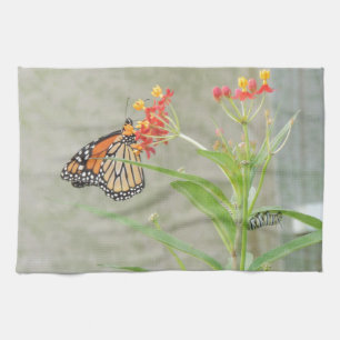 Linge De Cuisine Monarch Butterfly et Caterpillar