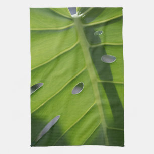 Linge De Cuisine Monstera Swiss Cheese Plante Green Plat