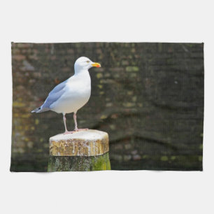 Linge De Cuisine Mouette