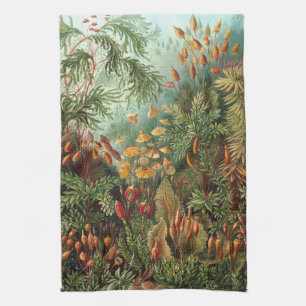 Linge De Cuisine Muscinae vintage, Plantes de la mousse par Ernst H