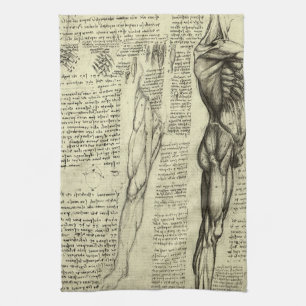 Linge De Cuisine Muscles humains anatomiques de Léonard de Vinci