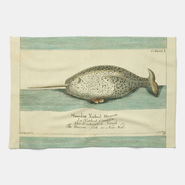 Linge De Cuisine Narwhal Antique Baleine Aquarelle Art scientifique (Horizontal)