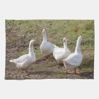 Linge De Cuisine Oies blanches