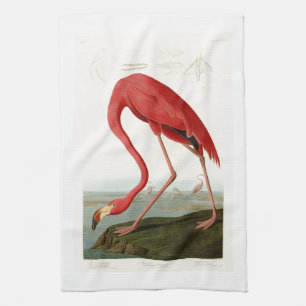 Linge De Cuisine Oiseaux américains de John Audubon de Flamant rose