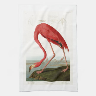 Linge De Cuisine Oiseaux américains de John Audubon de Flamant rose