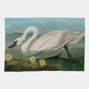 Linge De Cuisine Oiseaux communs de cygne d'Amérique Audubon