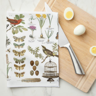 Linge De Cuisine oiseaux et fleurs botaniques français vintages