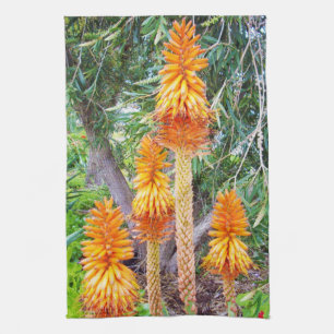 Linge De Cuisine Orange Hot Poker Flowers,