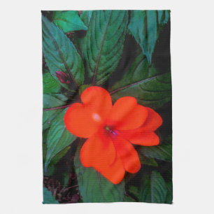 Linge De Cuisine Orange Impatiens