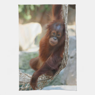 Linge De Cuisine OrangUtan 001