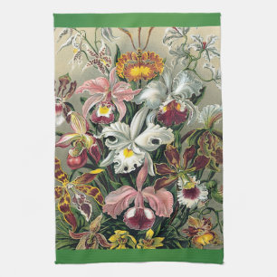 Linge De Cuisine Orchidées par Ernst Haeckel