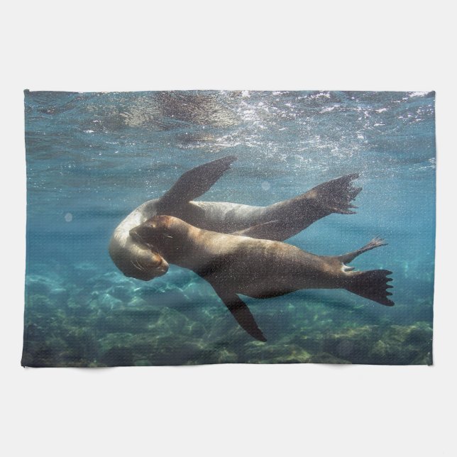 Linge De Cuisine Otaries joueuses Galapagos Îles (Horizontal)