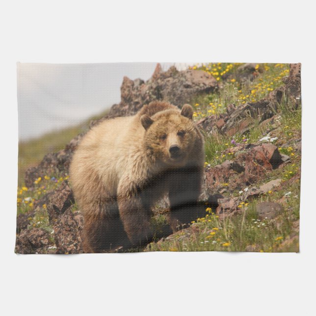 Linge De Cuisine ours (Horizontal)