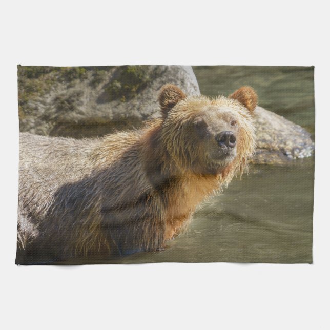 Linge De Cuisine Ours Grizzli Sauvage À La Rivière Orford (Horizontal)