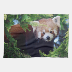 Linge De Cuisine Panda rouge