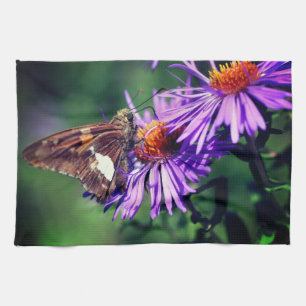 Linge De Cuisine Papillon Lady Peint Sur Fleur Aster Sauvage