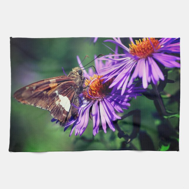 Linge De Cuisine Papillon Lady Peint Sur Fleur Aster Sauvage (Horizontal)