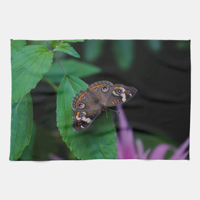 Linge De Cuisine Papillon tacheté (Horizontal)