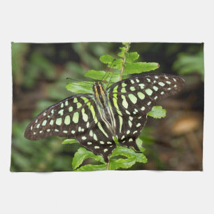 Linge De Cuisine papillon Tailed Jay