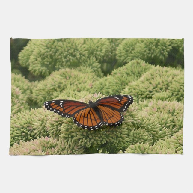Linge De Cuisine Papillon Viceroy Belle photographie de la nature (Horizontal)