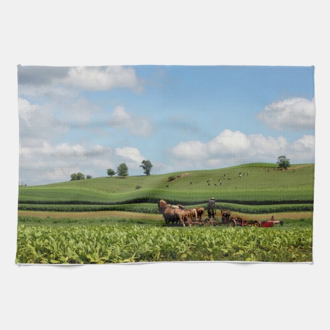 Linge De Cuisine Pays amish (Horizontal)