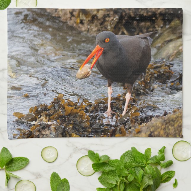 Linge De Cuisine Pêche à la plage d'Oystercatcher noir (Plié)