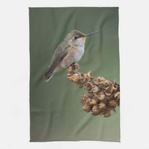 Linge De Cuisine Petit colibri orange