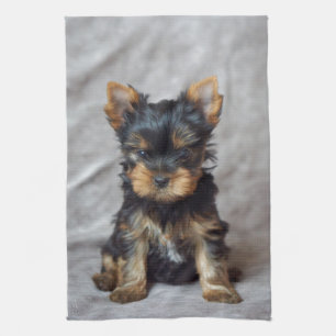 Linge De Cuisine Petit yorkie