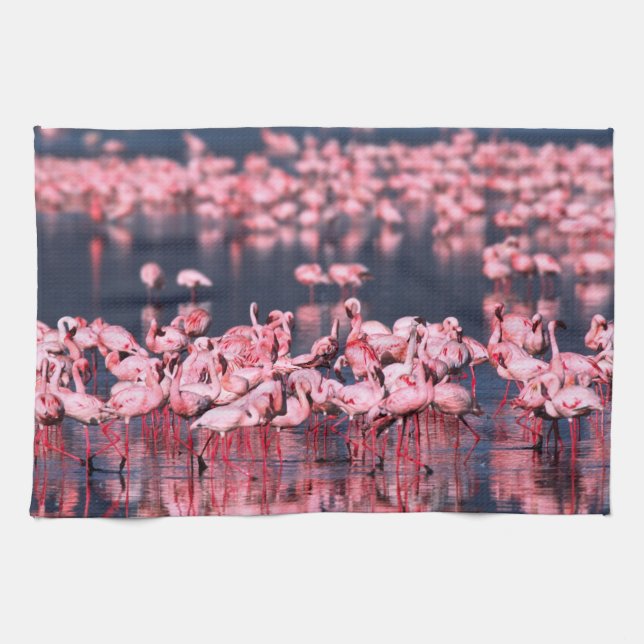 Linge De Cuisine Petits Flamants roses (Phoeniconaias mineur), Afri (Horizontal)
