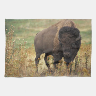 Linge De Cuisine Photo de Bison