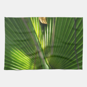 Linge De Cuisine Photo de Palmier Nain de Floride en Gros Plan