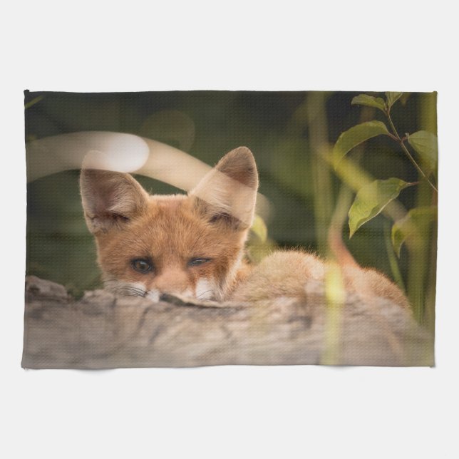 Linge De Cuisine Photo d'une mignonne petite Fox (Horizontal)